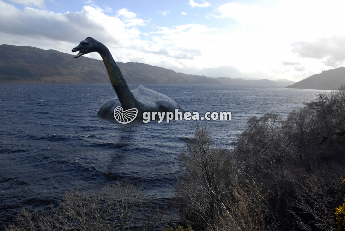 Monstre du Loch Ness ou Nessie - Animal préhistorique mythique (reconstitution) - gryphea.com